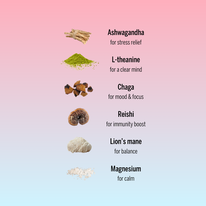 Day & Night Healthy Hot Chocolate Powders