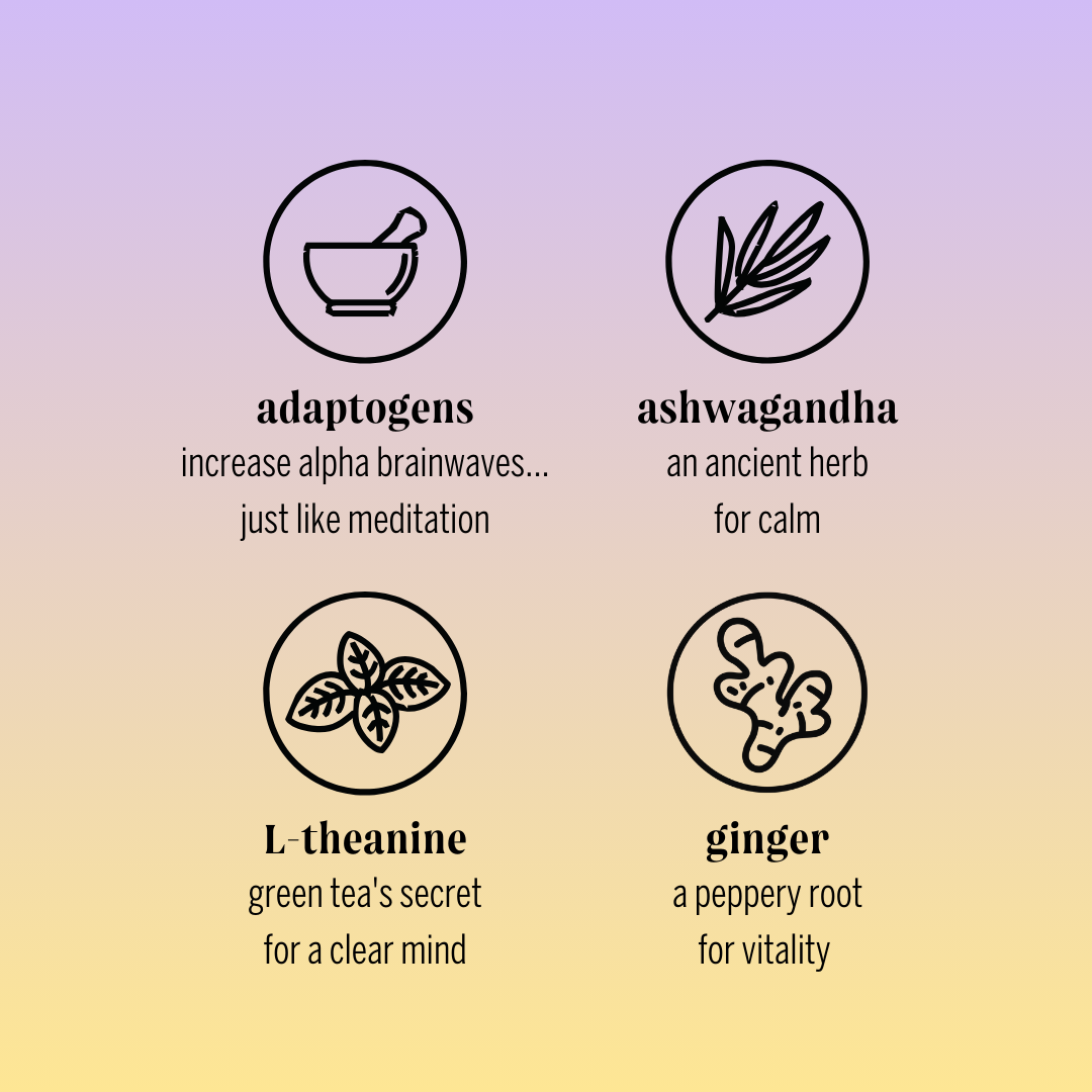 blueberry ginger adaptogen drink (12 pack)