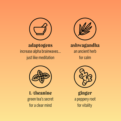 spiced mango adaptogen drink (12 pack)