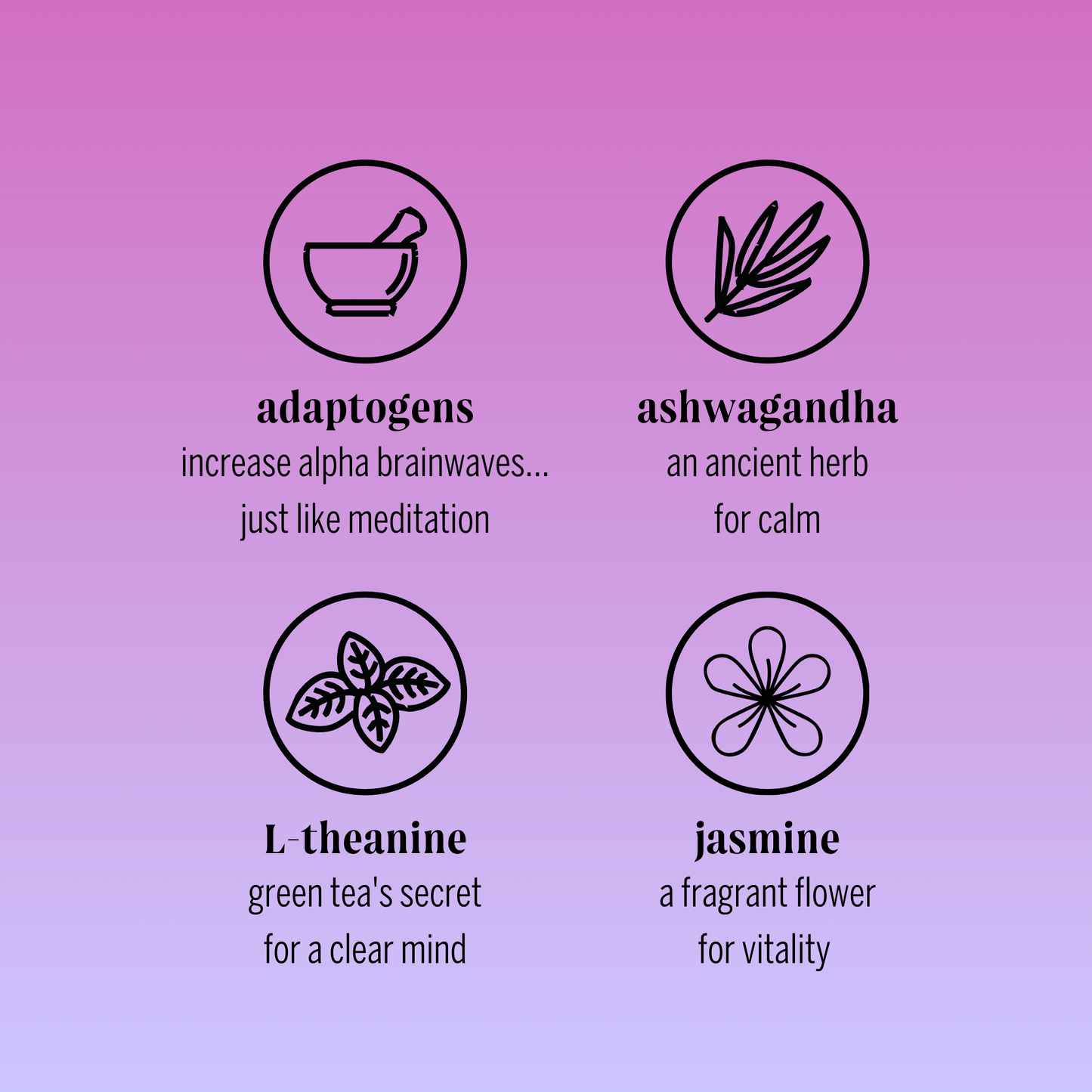 berry jasmine adaptogen drink (12 pack)