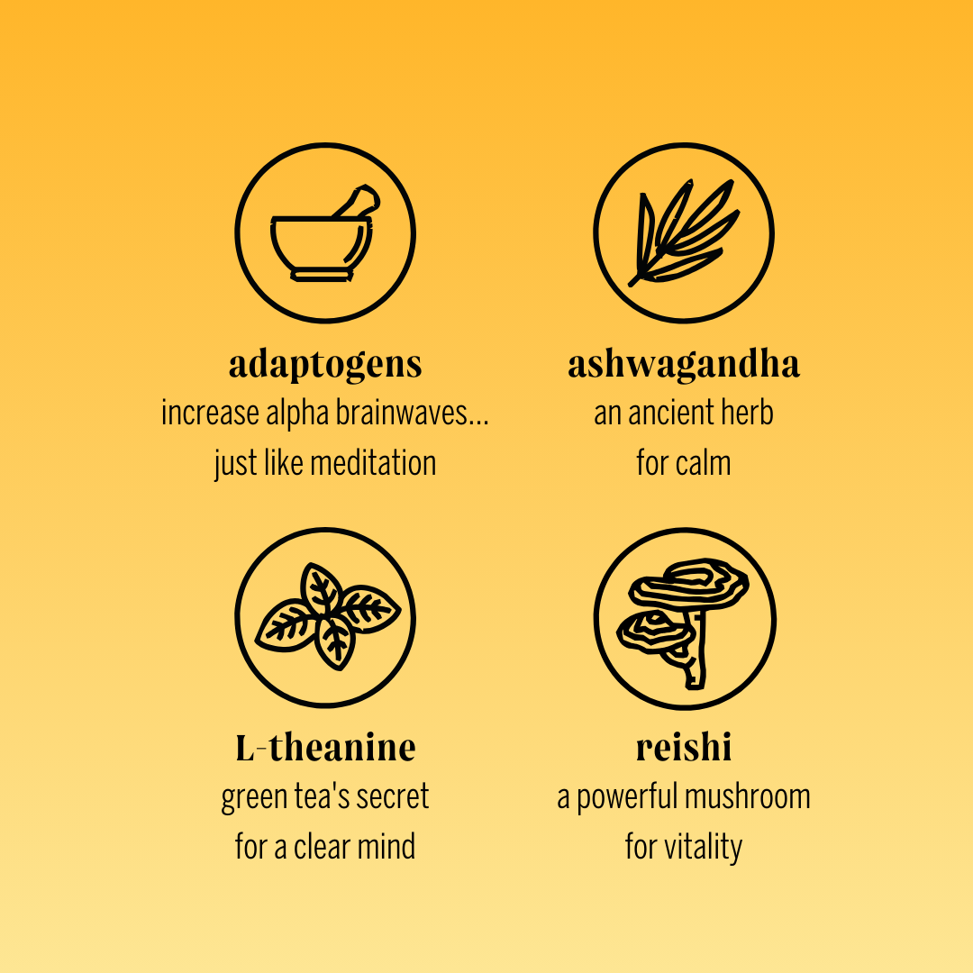 reishi orange adaptogen drink (12 pack)
