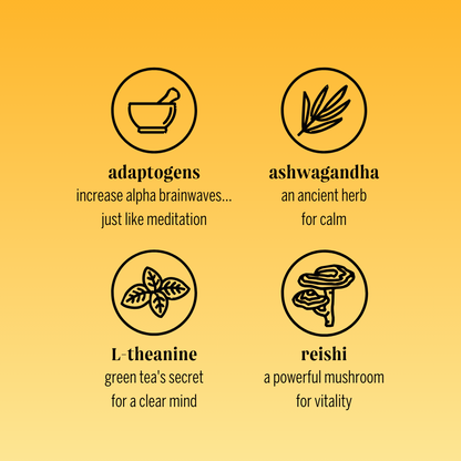 reishi orange adaptogen drink (12 pack)