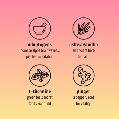 cranberry ginger adaptogen drink (12 pack)