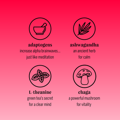 cherry chaga sparkling adaptogen drink (12 pack)