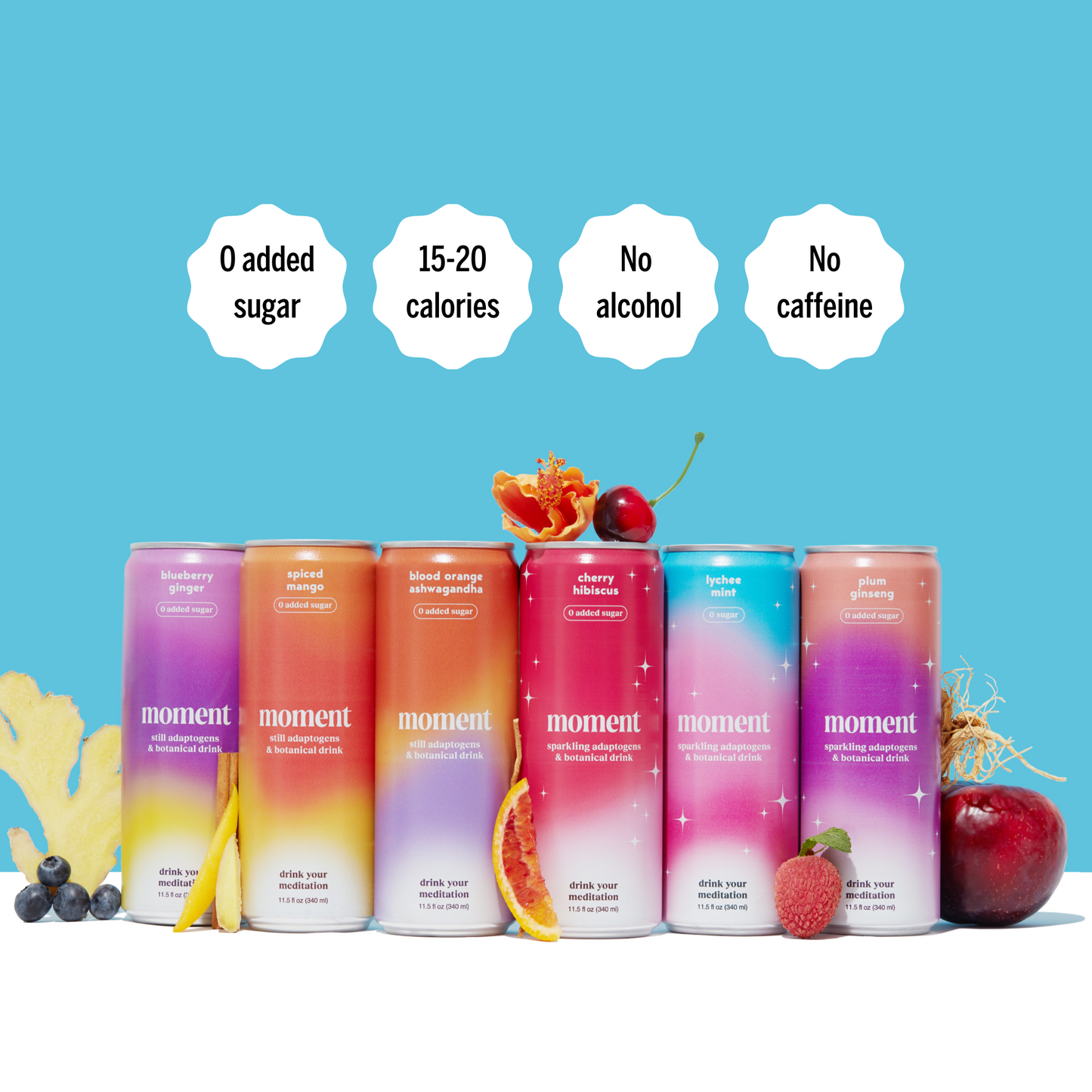 still & sparkling variety (24 pack)